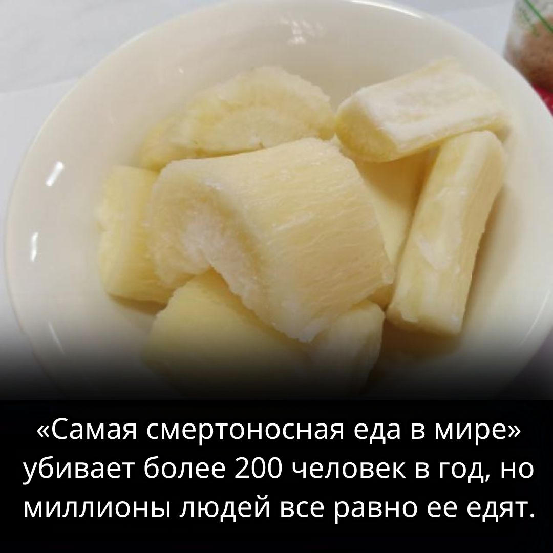 Самая смертоносная еда в мире: почему от неё ежегодно погибают более 200 человек?