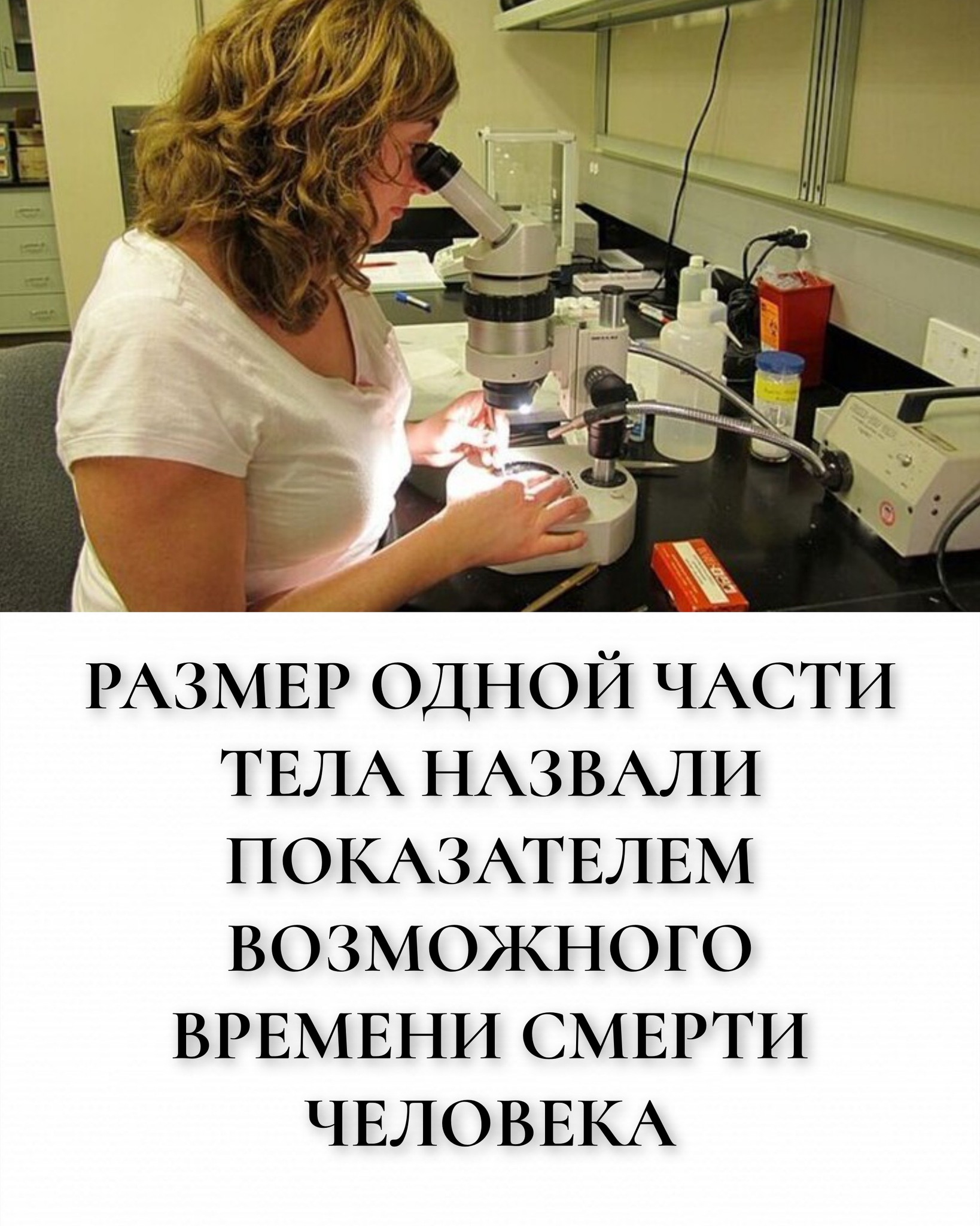 Размер одной части тела назвали показателем возможного времени смерти человека