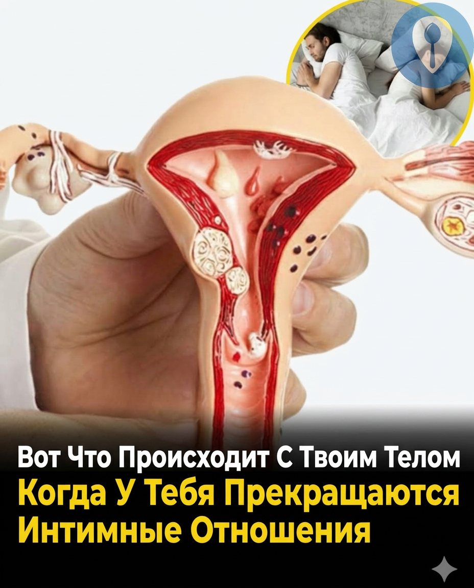 Влияние отсутствия сексуальной активности на здоровье: медицинский подход
