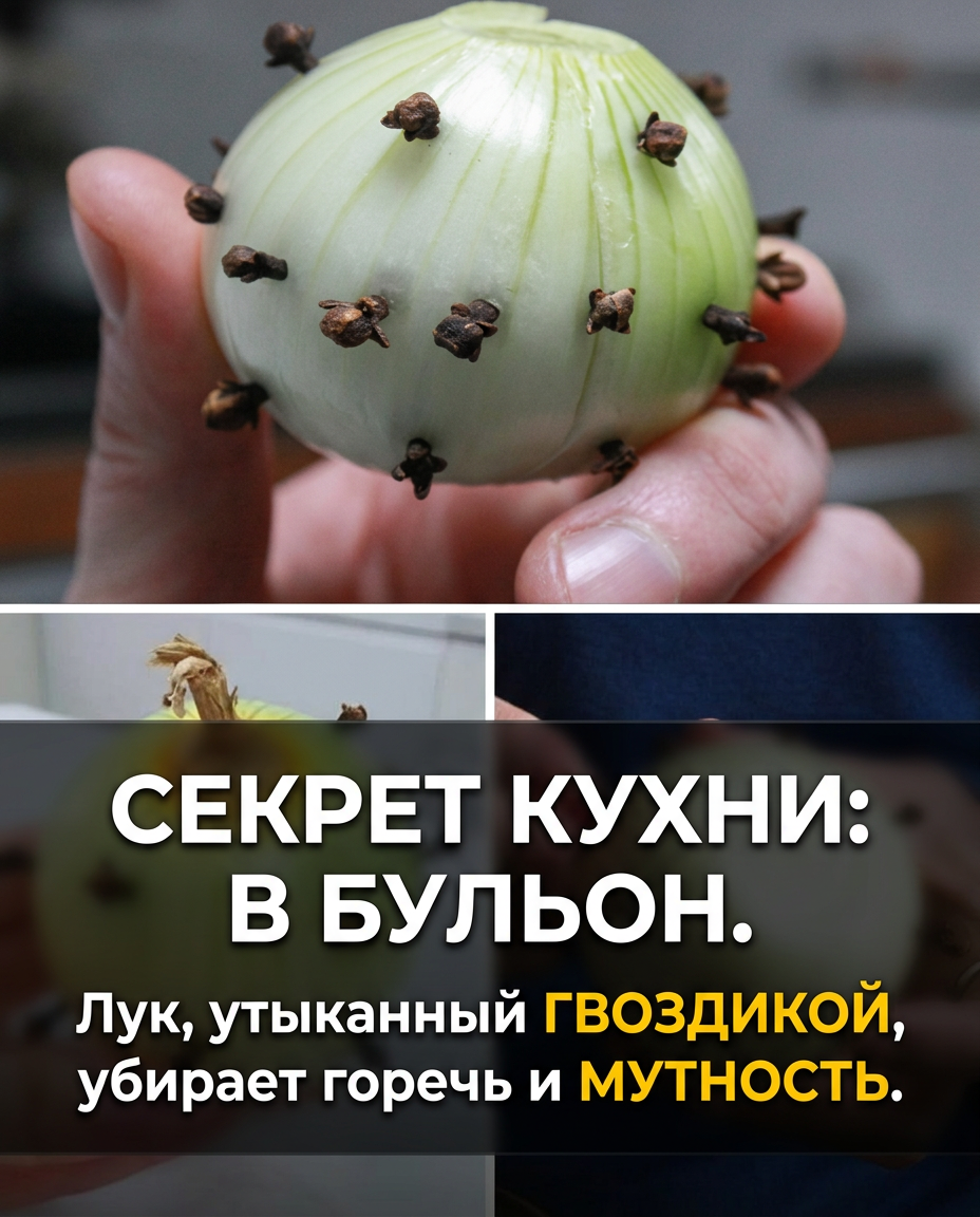 Бабушкин секрет: зачем втыкать гвоздику в луковицу?
