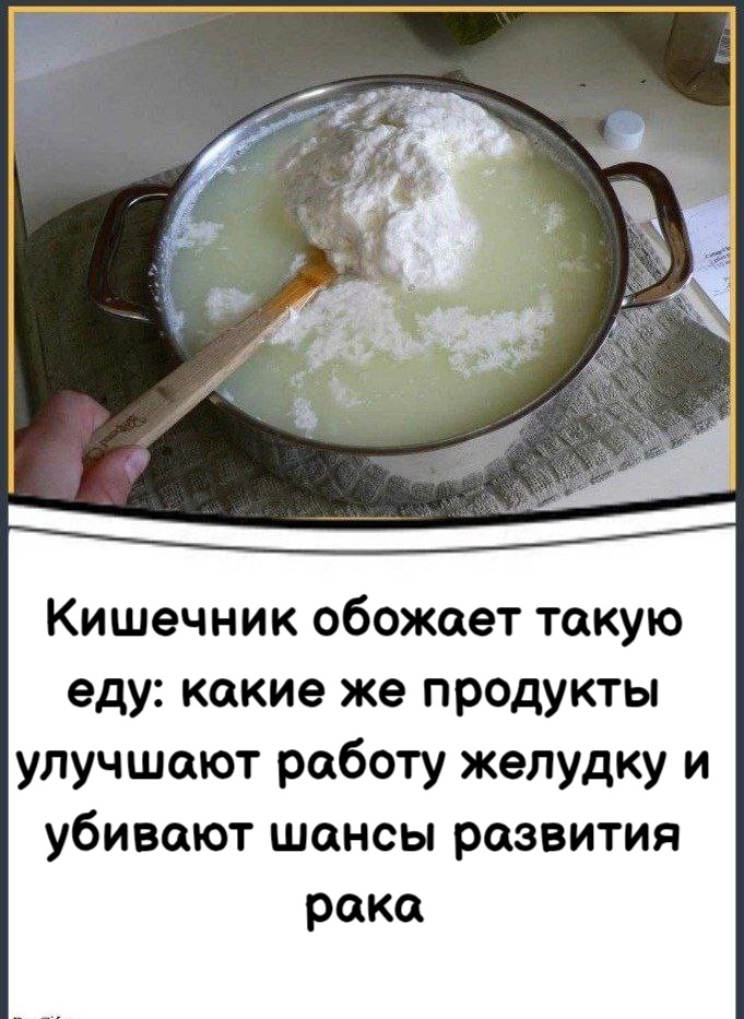 Кишечник обожает такую еду: какие же продукты улучшают работу желудку и убивают шансы развития рака